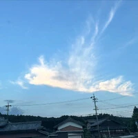 画像235
