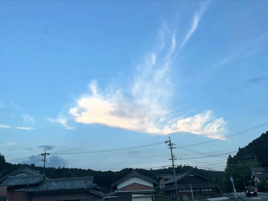 画像235