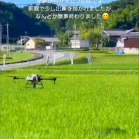 画像252
