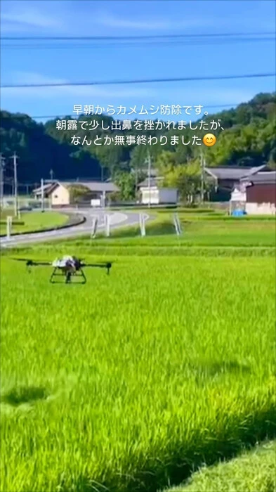 画像252