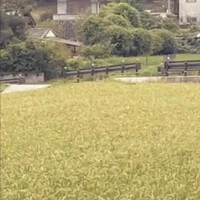 画像262