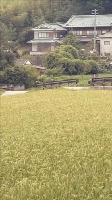 画像262