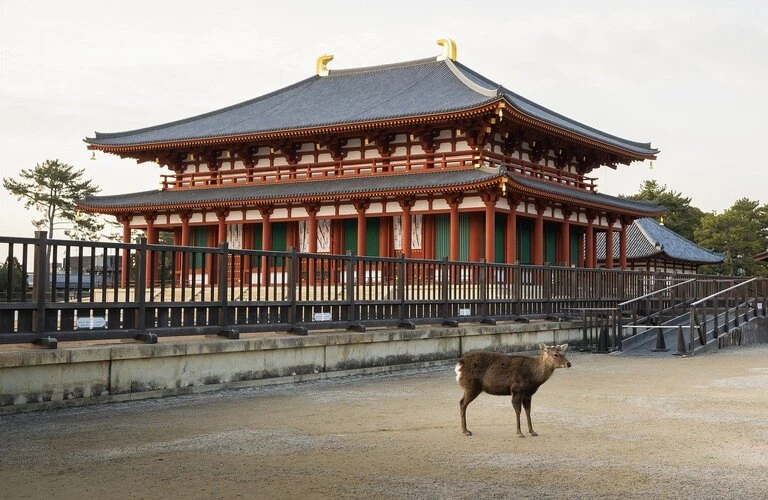 奈良の伝統を空から切り拓く